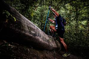 BIB: 
                            <button type="button" onclick="openModal(13525632)" class="btn btn-primary btn-sm float-right btn-popup" data-toggle="modal" data-target=".modal-high-quality">
                        <i class="fas fa-shopping-cart"></i> Add to Cart
                    </button>
                                            <button type="button" onclick="isThisMe(13525632, true)" class="btn btn-success btn-sm float-right btn-popup btn-isme hidden" data-toggle="tooltip" data-placement="bottom" title="นี่คือรูปของคุณใช่ไหม คลิกที่นี่เพื่อเอาเข้าอัลบั้ม">
                        <i class="fas fa-plus"></i> Add to album
                    </button>
                    <button type="button" onclick="isThisMe(13525632, false)" class="btn btn-warning btn-sm float-right btn-popup btn-isnotme hidden">
                        <i class="fas fa-ban"></i> Remove from album
                    </button>