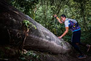 BIB: 
                            <button type="button" onclick="openModal(13520045)" class="btn btn-primary btn-sm float-right btn-popup" data-toggle="modal" data-target=".modal-high-quality">
                        <i class="fas fa-shopping-cart"></i> Add to Cart
                    </button>
                                            <button type="button" onclick="isThisMe(13520045, true)" class="btn btn-success btn-sm float-right btn-popup btn-isme hidden" data-toggle="tooltip" data-placement="bottom" title="นี่คือรูปของคุณใช่ไหม คลิกที่นี่เพื่อเอาเข้าอัลบั้ม">
                        <i class="fas fa-plus"></i> Add to album
                    </button>
                    <button type="button" onclick="isThisMe(13520045, false)" class="btn btn-warning btn-sm float-right btn-popup btn-isnotme hidden">
                        <i class="fas fa-ban"></i> Remove from album
                    </button>