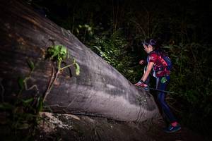 BIB: 
                            <button type="button" onclick="openModal(13517723)" class="btn btn-primary btn-sm float-right btn-popup" data-toggle="modal" data-target=".modal-high-quality">
                        <i class="fas fa-shopping-cart"></i> Add to Cart
                    </button>
                                            <button type="button" onclick="isThisMe(13517723, true)" class="btn btn-success btn-sm float-right btn-popup btn-isme hidden" data-toggle="tooltip" data-placement="bottom" title="นี่คือรูปของคุณใช่ไหม คลิกที่นี่เพื่อเอาเข้าอัลบั้ม">
                        <i class="fas fa-plus"></i> Add to album
                    </button>
                    <button type="button" onclick="isThisMe(13517723, false)" class="btn btn-warning btn-sm float-right btn-popup btn-isnotme hidden">
                        <i class="fas fa-ban"></i> Remove from album
                    </button>