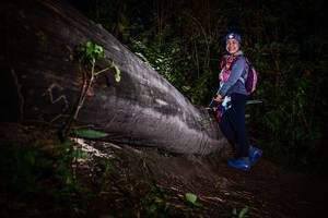 BIB: 
                            <button type="button" onclick="openModal(13518943)" class="btn btn-primary btn-sm float-right btn-popup" data-toggle="modal" data-target=".modal-high-quality">
                        <i class="fas fa-shopping-cart"></i> Add to Cart
                    </button>
                                            <button type="button" onclick="isThisMe(13518943, true)" class="btn btn-success btn-sm float-right btn-popup btn-isme hidden" data-toggle="tooltip" data-placement="bottom" title="นี่คือรูปของคุณใช่ไหม คลิกที่นี่เพื่อเอาเข้าอัลบั้ม">
                        <i class="fas fa-plus"></i> Add to album
                    </button>
                    <button type="button" onclick="isThisMe(13518943, false)" class="btn btn-warning btn-sm float-right btn-popup btn-isnotme hidden">
                        <i class="fas fa-ban"></i> Remove from album
                    </button>