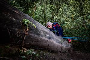 BIB: 
                            <button type="button" onclick="openModal(13520051)" class="btn btn-primary btn-sm float-right btn-popup" data-toggle="modal" data-target=".modal-high-quality">
                        <i class="fas fa-shopping-cart"></i> Add to Cart
                    </button>
                                            <button type="button" onclick="isThisMe(13520051, true)" class="btn btn-success btn-sm float-right btn-popup btn-isme hidden" data-toggle="tooltip" data-placement="bottom" title="นี่คือรูปของคุณใช่ไหม คลิกที่นี่เพื่อเอาเข้าอัลบั้ม">
                        <i class="fas fa-plus"></i> Add to album
                    </button>
                    <button type="button" onclick="isThisMe(13520051, false)" class="btn btn-warning btn-sm float-right btn-popup btn-isnotme hidden">
                        <i class="fas fa-ban"></i> Remove from album
                    </button>