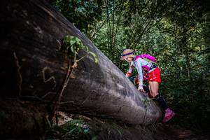 BIB: 
                            <button type="button" onclick="openModal(13519652)" class="btn btn-primary btn-sm float-right btn-popup" data-toggle="modal" data-target=".modal-high-quality">
                        <i class="fas fa-shopping-cart"></i> Add to Cart
                    </button>
                                            <button type="button" onclick="isThisMe(13519652, true)" class="btn btn-success btn-sm float-right btn-popup btn-isme hidden" data-toggle="tooltip" data-placement="bottom" title="นี่คือรูปของคุณใช่ไหม คลิกที่นี่เพื่อเอาเข้าอัลบั้ม">
                        <i class="fas fa-plus"></i> Add to album
                    </button>
                    <button type="button" onclick="isThisMe(13519652, false)" class="btn btn-warning btn-sm float-right btn-popup btn-isnotme hidden">
                        <i class="fas fa-ban"></i> Remove from album
                    </button>