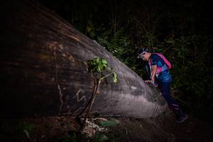 BIB: 
                            <button type="button" onclick="openModal(13517879)" class="btn btn-primary btn-sm float-right btn-popup" data-toggle="modal" data-target=".modal-high-quality">
                        <i class="fas fa-shopping-cart"></i> Add to Cart
                    </button>
                                            <button type="button" onclick="isThisMe(13517879, true)" class="btn btn-success btn-sm float-right btn-popup btn-isme hidden" data-toggle="tooltip" data-placement="bottom" title="นี่คือรูปของคุณใช่ไหม คลิกที่นี่เพื่อเอาเข้าอัลบั้ม">
                        <i class="fas fa-plus"></i> Add to album
                    </button>
                    <button type="button" onclick="isThisMe(13517879, false)" class="btn btn-warning btn-sm float-right btn-popup btn-isnotme hidden">
                        <i class="fas fa-ban"></i> Remove from album
                    </button>