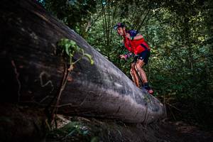 BIB: 
                            <button type="button" onclick="openModal(13519630)" class="btn btn-primary btn-sm float-right btn-popup" data-toggle="modal" data-target=".modal-high-quality">
                        <i class="fas fa-shopping-cart"></i> Add to Cart
                    </button>
                                            <button type="button" onclick="isThisMe(13519630, true)" class="btn btn-success btn-sm float-right btn-popup btn-isme hidden" data-toggle="tooltip" data-placement="bottom" title="นี่คือรูปของคุณใช่ไหม คลิกที่นี่เพื่อเอาเข้าอัลบั้ม">
                        <i class="fas fa-plus"></i> Add to album
                    </button>
                    <button type="button" onclick="isThisMe(13519630, false)" class="btn btn-warning btn-sm float-right btn-popup btn-isnotme hidden">
                        <i class="fas fa-ban"></i> Remove from album
                    </button>