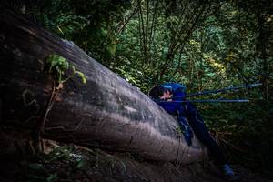 BIB: 
                            <button type="button" onclick="openModal(13519553)" class="btn btn-primary btn-sm float-right btn-popup" data-toggle="modal" data-target=".modal-high-quality">
                        <i class="fas fa-shopping-cart"></i> Add to Cart
                    </button>
                                            <button type="button" onclick="isThisMe(13519553, true)" class="btn btn-success btn-sm float-right btn-popup btn-isme hidden" data-toggle="tooltip" data-placement="bottom" title="นี่คือรูปของคุณใช่ไหม คลิกที่นี่เพื่อเอาเข้าอัลบั้ม">
                        <i class="fas fa-plus"></i> Add to album
                    </button>
                    <button type="button" onclick="isThisMe(13519553, false)" class="btn btn-warning btn-sm float-right btn-popup btn-isnotme hidden">
                        <i class="fas fa-ban"></i> Remove from album
                    </button>