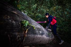 BIB: 
                            <button type="button" onclick="openModal(13519286)" class="btn btn-primary btn-sm float-right btn-popup" data-toggle="modal" data-target=".modal-high-quality">
                        <i class="fas fa-shopping-cart"></i> Add to Cart
                    </button>
                                            <button type="button" onclick="isThisMe(13519286, true)" class="btn btn-success btn-sm float-right btn-popup btn-isme hidden" data-toggle="tooltip" data-placement="bottom" title="นี่คือรูปของคุณใช่ไหม คลิกที่นี่เพื่อเอาเข้าอัลบั้ม">
                        <i class="fas fa-plus"></i> Add to album
                    </button>
                    <button type="button" onclick="isThisMe(13519286, false)" class="btn btn-warning btn-sm float-right btn-popup btn-isnotme hidden">
                        <i class="fas fa-ban"></i> Remove from album
                    </button>