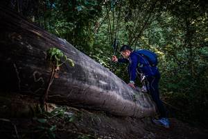 BIB: 
                            <button type="button" onclick="openModal(13519555)" class="btn btn-primary btn-sm float-right btn-popup" data-toggle="modal" data-target=".modal-high-quality">
                        <i class="fas fa-shopping-cart"></i> Add to Cart
                    </button>
                                            <button type="button" onclick="isThisMe(13519555, true)" class="btn btn-success btn-sm float-right btn-popup btn-isme hidden" data-toggle="tooltip" data-placement="bottom" title="นี่คือรูปของคุณใช่ไหม คลิกที่นี่เพื่อเอาเข้าอัลบั้ม">
                        <i class="fas fa-plus"></i> Add to album
                    </button>
                    <button type="button" onclick="isThisMe(13519555, false)" class="btn btn-warning btn-sm float-right btn-popup btn-isnotme hidden">
                        <i class="fas fa-ban"></i> Remove from album
                    </button>