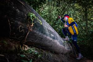 BIB: 
                            <button type="button" onclick="openModal(13519812)" class="btn btn-primary btn-sm float-right btn-popup" data-toggle="modal" data-target=".modal-high-quality">
                        <i class="fas fa-shopping-cart"></i> Add to Cart
                    </button>
                                            <button type="button" onclick="isThisMe(13519812, true)" class="btn btn-success btn-sm float-right btn-popup btn-isme hidden" data-toggle="tooltip" data-placement="bottom" title="นี่คือรูปของคุณใช่ไหม คลิกที่นี่เพื่อเอาเข้าอัลบั้ม">
                        <i class="fas fa-plus"></i> Add to album
                    </button>
                    <button type="button" onclick="isThisMe(13519812, false)" class="btn btn-warning btn-sm float-right btn-popup btn-isnotme hidden">
                        <i class="fas fa-ban"></i> Remove from album
                    </button>