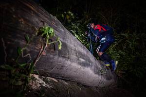 BIB: 
                            <button type="button" onclick="openModal(13517709)" class="btn btn-primary btn-sm float-right btn-popup" data-toggle="modal" data-target=".modal-high-quality">
                        <i class="fas fa-shopping-cart"></i> Add to Cart
                    </button>
                                            <button type="button" onclick="isThisMe(13517709, true)" class="btn btn-success btn-sm float-right btn-popup btn-isme hidden" data-toggle="tooltip" data-placement="bottom" title="นี่คือรูปของคุณใช่ไหม คลิกที่นี่เพื่อเอาเข้าอัลบั้ม">
                        <i class="fas fa-plus"></i> Add to album
                    </button>
                    <button type="button" onclick="isThisMe(13517709, false)" class="btn btn-warning btn-sm float-right btn-popup btn-isnotme hidden">
                        <i class="fas fa-ban"></i> Remove from album
                    </button>