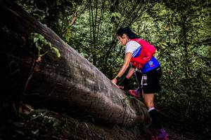 BIB: 
                            <button type="button" onclick="openModal(13523184)" class="btn btn-primary btn-sm float-right btn-popup" data-toggle="modal" data-target=".modal-high-quality">
                        <i class="fas fa-shopping-cart"></i> Add to Cart
                    </button>
                                            <button type="button" onclick="isThisMe(13523184, true)" class="btn btn-success btn-sm float-right btn-popup btn-isme hidden" data-toggle="tooltip" data-placement="bottom" title="นี่คือรูปของคุณใช่ไหม คลิกที่นี่เพื่อเอาเข้าอัลบั้ม">
                        <i class="fas fa-plus"></i> Add to album
                    </button>
                    <button type="button" onclick="isThisMe(13523184, false)" class="btn btn-warning btn-sm float-right btn-popup btn-isnotme hidden">
                        <i class="fas fa-ban"></i> Remove from album
                    </button>