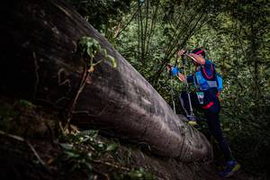 BIB: 
                            <button type="button" onclick="openModal(13522842)" class="btn btn-primary btn-sm float-right btn-popup" data-toggle="modal" data-target=".modal-high-quality">
                        <i class="fas fa-shopping-cart"></i> Add to Cart
                    </button>
                                            <button type="button" onclick="isThisMe(13522842, true)" class="btn btn-success btn-sm float-right btn-popup btn-isme hidden" data-toggle="tooltip" data-placement="bottom" title="นี่คือรูปของคุณใช่ไหม คลิกที่นี่เพื่อเอาเข้าอัลบั้ม">
                        <i class="fas fa-plus"></i> Add to album
                    </button>
                    <button type="button" onclick="isThisMe(13522842, false)" class="btn btn-warning btn-sm float-right btn-popup btn-isnotme hidden">
                        <i class="fas fa-ban"></i> Remove from album
                    </button>