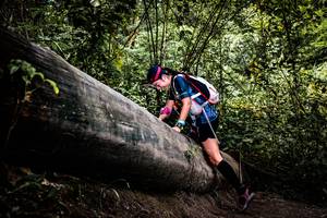 BIB: 
                            <button type="button" onclick="openModal(13525792)" class="btn btn-primary btn-sm float-right btn-popup" data-toggle="modal" data-target=".modal-high-quality">
                        <i class="fas fa-shopping-cart"></i> Add to Cart
                    </button>
                                            <button type="button" onclick="isThisMe(13525792, true)" class="btn btn-success btn-sm float-right btn-popup btn-isme hidden" data-toggle="tooltip" data-placement="bottom" title="นี่คือรูปของคุณใช่ไหม คลิกที่นี่เพื่อเอาเข้าอัลบั้ม">
                        <i class="fas fa-plus"></i> Add to album
                    </button>
                    <button type="button" onclick="isThisMe(13525792, false)" class="btn btn-warning btn-sm float-right btn-popup btn-isnotme hidden">
                        <i class="fas fa-ban"></i> Remove from album
                    </button>