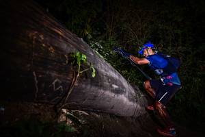 BIB: 
                            <button type="button" onclick="openModal(13519190)" class="btn btn-primary btn-sm float-right btn-popup" data-toggle="modal" data-target=".modal-high-quality">
                        <i class="fas fa-shopping-cart"></i> Add to Cart
                    </button>
                                            <button type="button" onclick="isThisMe(13519190, true)" class="btn btn-success btn-sm float-right btn-popup btn-isme hidden" data-toggle="tooltip" data-placement="bottom" title="นี่คือรูปของคุณใช่ไหม คลิกที่นี่เพื่อเอาเข้าอัลบั้ม">
                        <i class="fas fa-plus"></i> Add to album
                    </button>
                    <button type="button" onclick="isThisMe(13519190, false)" class="btn btn-warning btn-sm float-right btn-popup btn-isnotme hidden">
                        <i class="fas fa-ban"></i> Remove from album
                    </button>