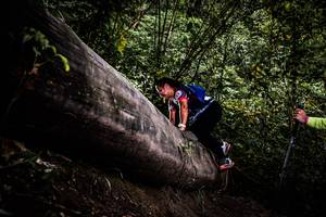 BIB: 
                            <button type="button" onclick="openModal(13525522)" class="btn btn-primary btn-sm float-right btn-popup" data-toggle="modal" data-target=".modal-high-quality">
                        <i class="fas fa-shopping-cart"></i> Add to Cart
                    </button>
                                            <button type="button" onclick="isThisMe(13525522, true)" class="btn btn-success btn-sm float-right btn-popup btn-isme hidden" data-toggle="tooltip" data-placement="bottom" title="นี่คือรูปของคุณใช่ไหม คลิกที่นี่เพื่อเอาเข้าอัลบั้ม">
                        <i class="fas fa-plus"></i> Add to album
                    </button>
                    <button type="button" onclick="isThisMe(13525522, false)" class="btn btn-warning btn-sm float-right btn-popup btn-isnotme hidden">
                        <i class="fas fa-ban"></i> Remove from album
                    </button>