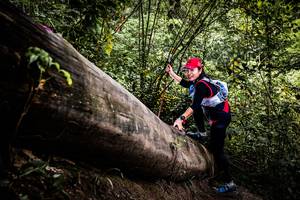 BIB: 
                            <button type="button" onclick="openModal(13525842)" class="btn btn-primary btn-sm float-right btn-popup" data-toggle="modal" data-target=".modal-high-quality">
                        <i class="fas fa-shopping-cart"></i> Add to Cart
                    </button>
                                            <button type="button" onclick="isThisMe(13525842, true)" class="btn btn-success btn-sm float-right btn-popup btn-isme hidden" data-toggle="tooltip" data-placement="bottom" title="นี่คือรูปของคุณใช่ไหม คลิกที่นี่เพื่อเอาเข้าอัลบั้ม">
                        <i class="fas fa-plus"></i> Add to album
                    </button>
                    <button type="button" onclick="isThisMe(13525842, false)" class="btn btn-warning btn-sm float-right btn-popup btn-isnotme hidden">
                        <i class="fas fa-ban"></i> Remove from album
                    </button>