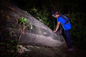 BIB: 
                            <button type="button" onclick="openModal(13517731)" class="btn btn-primary btn-sm float-right btn-popup" data-toggle="modal" data-target=".modal-high-quality">
                        <i class="fas fa-shopping-cart"></i> Add to Cart
                    </button>
                                            <button type="button" onclick="isThisMe(13517731, true)" class="btn btn-success btn-sm float-right btn-popup btn-isme hidden" data-toggle="tooltip" data-placement="bottom" title="นี่คือรูปของคุณใช่ไหม คลิกที่นี่เพื่อเอาเข้าอัลบั้ม">
                        <i class="fas fa-plus"></i> Add to album
                    </button>
                    <button type="button" onclick="isThisMe(13517731, false)" class="btn btn-warning btn-sm float-right btn-popup btn-isnotme hidden">
                        <i class="fas fa-ban"></i> Remove from album
                    </button>