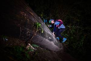 BIB: 
                            <button type="button" onclick="openModal(13518566)" class="btn btn-primary btn-sm float-right btn-popup" data-toggle="modal" data-target=".modal-high-quality">
                        <i class="fas fa-shopping-cart"></i> Add to Cart
                    </button>
                                            <button type="button" onclick="isThisMe(13518566, true)" class="btn btn-success btn-sm float-right btn-popup btn-isme hidden" data-toggle="tooltip" data-placement="bottom" title="นี่คือรูปของคุณใช่ไหม คลิกที่นี่เพื่อเอาเข้าอัลบั้ม">
                        <i class="fas fa-plus"></i> Add to album
                    </button>
                    <button type="button" onclick="isThisMe(13518566, false)" class="btn btn-warning btn-sm float-right btn-popup btn-isnotme hidden">
                        <i class="fas fa-ban"></i> Remove from album
                    </button>