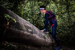 BIB: 
                            <button type="button" onclick="openModal(13522925)" class="btn btn-primary btn-sm float-right btn-popup" data-toggle="modal" data-target=".modal-high-quality">
                        <i class="fas fa-shopping-cart"></i> Add to Cart
                    </button>
                                            <button type="button" onclick="isThisMe(13522925, true)" class="btn btn-success btn-sm float-right btn-popup btn-isme hidden" data-toggle="tooltip" data-placement="bottom" title="นี่คือรูปของคุณใช่ไหม คลิกที่นี่เพื่อเอาเข้าอัลบั้ม">
                        <i class="fas fa-plus"></i> Add to album
                    </button>
                    <button type="button" onclick="isThisMe(13522925, false)" class="btn btn-warning btn-sm float-right btn-popup btn-isnotme hidden">
                        <i class="fas fa-ban"></i> Remove from album
                    </button>