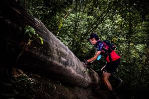 BIB: 
                            <button type="button" onclick="openModal(13525450)" class="btn btn-primary btn-sm float-right btn-popup" data-toggle="modal" data-target=".modal-high-quality">
                        <i class="fas fa-shopping-cart"></i> Add to Cart
                    </button>
                                            <button type="button" onclick="isThisMe(13525450, true)" class="btn btn-success btn-sm float-right btn-popup btn-isme hidden" data-toggle="tooltip" data-placement="bottom" title="นี่คือรูปของคุณใช่ไหม คลิกที่นี่เพื่อเอาเข้าอัลบั้ม">
                        <i class="fas fa-plus"></i> Add to album
                    </button>
                    <button type="button" onclick="isThisMe(13525450, false)" class="btn btn-warning btn-sm float-right btn-popup btn-isnotme hidden">
                        <i class="fas fa-ban"></i> Remove from album
                    </button>