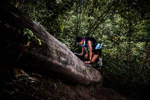 BIB: 
                            <button type="button" onclick="openModal(13525424)" class="btn btn-primary btn-sm float-right btn-popup" data-toggle="modal" data-target=".modal-high-quality">
                        <i class="fas fa-shopping-cart"></i> Add to Cart
                    </button>
                                            <button type="button" onclick="isThisMe(13525424, true)" class="btn btn-success btn-sm float-right btn-popup btn-isme hidden" data-toggle="tooltip" data-placement="bottom" title="นี่คือรูปของคุณใช่ไหม คลิกที่นี่เพื่อเอาเข้าอัลบั้ม">
                        <i class="fas fa-plus"></i> Add to album
                    </button>
                    <button type="button" onclick="isThisMe(13525424, false)" class="btn btn-warning btn-sm float-right btn-popup btn-isnotme hidden">
                        <i class="fas fa-ban"></i> Remove from album
                    </button>