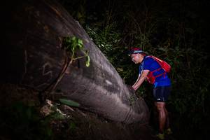 BIB: 
                            <button type="button" onclick="openModal(13518150)" class="btn btn-primary btn-sm float-right btn-popup" data-toggle="modal" data-target=".modal-high-quality">
                        <i class="fas fa-shopping-cart"></i> Add to Cart
                    </button>
                                            <button type="button" onclick="isThisMe(13518150, true)" class="btn btn-success btn-sm float-right btn-popup btn-isme hidden" data-toggle="tooltip" data-placement="bottom" title="นี่คือรูปของคุณใช่ไหม คลิกที่นี่เพื่อเอาเข้าอัลบั้ม">
                        <i class="fas fa-plus"></i> Add to album
                    </button>
                    <button type="button" onclick="isThisMe(13518150, false)" class="btn btn-warning btn-sm float-right btn-popup btn-isnotme hidden">
                        <i class="fas fa-ban"></i> Remove from album
                    </button>