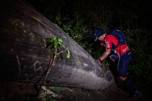 BIB: 
                            <button type="button" onclick="openModal(13517755)" class="btn btn-primary btn-sm float-right btn-popup" data-toggle="modal" data-target=".modal-high-quality">
                        <i class="fas fa-shopping-cart"></i> Add to Cart
                    </button>
                                            <button type="button" onclick="isThisMe(13517755, true)" class="btn btn-success btn-sm float-right btn-popup btn-isme hidden" data-toggle="tooltip" data-placement="bottom" title="นี่คือรูปของคุณใช่ไหม คลิกที่นี่เพื่อเอาเข้าอัลบั้ม">
                        <i class="fas fa-plus"></i> Add to album
                    </button>
                    <button type="button" onclick="isThisMe(13517755, false)" class="btn btn-warning btn-sm float-right btn-popup btn-isnotme hidden">
                        <i class="fas fa-ban"></i> Remove from album
                    </button>