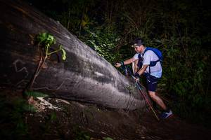 BIB: 
                            <button type="button" onclick="openModal(13519022)" class="btn btn-primary btn-sm float-right btn-popup" data-toggle="modal" data-target=".modal-high-quality">
                        <i class="fas fa-shopping-cart"></i> Add to Cart
                    </button>
                                            <button type="button" onclick="isThisMe(13519022, true)" class="btn btn-success btn-sm float-right btn-popup btn-isme hidden" data-toggle="tooltip" data-placement="bottom" title="นี่คือรูปของคุณใช่ไหม คลิกที่นี่เพื่อเอาเข้าอัลบั้ม">
                        <i class="fas fa-plus"></i> Add to album
                    </button>
                    <button type="button" onclick="isThisMe(13519022, false)" class="btn btn-warning btn-sm float-right btn-popup btn-isnotme hidden">
                        <i class="fas fa-ban"></i> Remove from album
                    </button>