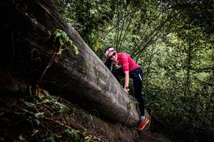 BIB: 
                            <button type="button" onclick="openModal(13523964)" class="btn btn-primary btn-sm float-right btn-popup" data-toggle="modal" data-target=".modal-high-quality">
                        <i class="fas fa-shopping-cart"></i> Add to Cart
                    </button>
                                            <button type="button" onclick="isThisMe(13523964, true)" class="btn btn-success btn-sm float-right btn-popup btn-isme hidden" data-toggle="tooltip" data-placement="bottom" title="นี่คือรูปของคุณใช่ไหม คลิกที่นี่เพื่อเอาเข้าอัลบั้ม">
                        <i class="fas fa-plus"></i> Add to album
                    </button>
                    <button type="button" onclick="isThisMe(13523964, false)" class="btn btn-warning btn-sm float-right btn-popup btn-isnotme hidden">
                        <i class="fas fa-ban"></i> Remove from album
                    </button>