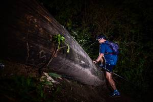 BIB: 
                            <button type="button" onclick="openModal(13518794)" class="btn btn-primary btn-sm float-right btn-popup" data-toggle="modal" data-target=".modal-high-quality">
                        <i class="fas fa-shopping-cart"></i> Add to Cart
                    </button>
                                            <button type="button" onclick="isThisMe(13518794, true)" class="btn btn-success btn-sm float-right btn-popup btn-isme hidden" data-toggle="tooltip" data-placement="bottom" title="นี่คือรูปของคุณใช่ไหม คลิกที่นี่เพื่อเอาเข้าอัลบั้ม">
                        <i class="fas fa-plus"></i> Add to album
                    </button>
                    <button type="button" onclick="isThisMe(13518794, false)" class="btn btn-warning btn-sm float-right btn-popup btn-isnotme hidden">
                        <i class="fas fa-ban"></i> Remove from album
                    </button>