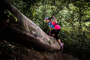 BIB: 
                            <button type="button" onclick="openModal(13525741)" class="btn btn-primary btn-sm float-right btn-popup" data-toggle="modal" data-target=".modal-high-quality">
                        <i class="fas fa-shopping-cart"></i> Add to Cart
                    </button>
                                            <button type="button" onclick="isThisMe(13525741, true)" class="btn btn-success btn-sm float-right btn-popup btn-isme hidden" data-toggle="tooltip" data-placement="bottom" title="นี่คือรูปของคุณใช่ไหม คลิกที่นี่เพื่อเอาเข้าอัลบั้ม">
                        <i class="fas fa-plus"></i> Add to album
                    </button>
                    <button type="button" onclick="isThisMe(13525741, false)" class="btn btn-warning btn-sm float-right btn-popup btn-isnotme hidden">
                        <i class="fas fa-ban"></i> Remove from album
                    </button>