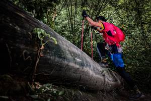 BIB: 
                            <button type="button" onclick="openModal(13522876)" class="btn btn-primary btn-sm float-right btn-popup" data-toggle="modal" data-target=".modal-high-quality">
                        <i class="fas fa-shopping-cart"></i> Add to Cart
                    </button>
                                            <button type="button" onclick="isThisMe(13522876, true)" class="btn btn-success btn-sm float-right btn-popup btn-isme hidden" data-toggle="tooltip" data-placement="bottom" title="นี่คือรูปของคุณใช่ไหม คลิกที่นี่เพื่อเอาเข้าอัลบั้ม">
                        <i class="fas fa-plus"></i> Add to album
                    </button>
                    <button type="button" onclick="isThisMe(13522876, false)" class="btn btn-warning btn-sm float-right btn-popup btn-isnotme hidden">
                        <i class="fas fa-ban"></i> Remove from album
                    </button>