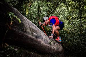 BIB: 
                            <button type="button" onclick="openModal(13523387)" class="btn btn-primary btn-sm float-right btn-popup" data-toggle="modal" data-target=".modal-high-quality">
                        <i class="fas fa-shopping-cart"></i> Add to Cart
                    </button>
                                            <button type="button" onclick="isThisMe(13523387, true)" class="btn btn-success btn-sm float-right btn-popup btn-isme hidden" data-toggle="tooltip" data-placement="bottom" title="นี่คือรูปของคุณใช่ไหม คลิกที่นี่เพื่อเอาเข้าอัลบั้ม">
                        <i class="fas fa-plus"></i> Add to album
                    </button>
                    <button type="button" onclick="isThisMe(13523387, false)" class="btn btn-warning btn-sm float-right btn-popup btn-isnotme hidden">
                        <i class="fas fa-ban"></i> Remove from album
                    </button>