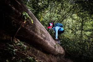 BIB: 
                            <button type="button" onclick="openModal(13523975)" class="btn btn-primary btn-sm float-right btn-popup" data-toggle="modal" data-target=".modal-high-quality">
                        <i class="fas fa-shopping-cart"></i> Add to Cart
                    </button>
                                            <button type="button" onclick="isThisMe(13523975, true)" class="btn btn-success btn-sm float-right btn-popup btn-isme hidden" data-toggle="tooltip" data-placement="bottom" title="นี่คือรูปของคุณใช่ไหม คลิกที่นี่เพื่อเอาเข้าอัลบั้ม">
                        <i class="fas fa-plus"></i> Add to album
                    </button>
                    <button type="button" onclick="isThisMe(13523975, false)" class="btn btn-warning btn-sm float-right btn-popup btn-isnotme hidden">
                        <i class="fas fa-ban"></i> Remove from album
                    </button>