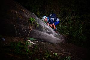 BIB: 
                            <button type="button" onclick="openModal(13518939)" class="btn btn-primary btn-sm float-right btn-popup" data-toggle="modal" data-target=".modal-high-quality">
                        <i class="fas fa-shopping-cart"></i> Add to Cart
                    </button>
                                            <button type="button" onclick="isThisMe(13518939, true)" class="btn btn-success btn-sm float-right btn-popup btn-isme hidden" data-toggle="tooltip" data-placement="bottom" title="นี่คือรูปของคุณใช่ไหม คลิกที่นี่เพื่อเอาเข้าอัลบั้ม">
                        <i class="fas fa-plus"></i> Add to album
                    </button>
                    <button type="button" onclick="isThisMe(13518939, false)" class="btn btn-warning btn-sm float-right btn-popup btn-isnotme hidden">
                        <i class="fas fa-ban"></i> Remove from album
                    </button>