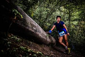 BIB: 
                            <button type="button" onclick="openModal(13525233)" class="btn btn-primary btn-sm float-right btn-popup" data-toggle="modal" data-target=".modal-high-quality">
                        <i class="fas fa-shopping-cart"></i> Add to Cart
                    </button>
                                            <button type="button" onclick="isThisMe(13525233, true)" class="btn btn-success btn-sm float-right btn-popup btn-isme hidden" data-toggle="tooltip" data-placement="bottom" title="นี่คือรูปของคุณใช่ไหม คลิกที่นี่เพื่อเอาเข้าอัลบั้ม">
                        <i class="fas fa-plus"></i> Add to album
                    </button>
                    <button type="button" onclick="isThisMe(13525233, false)" class="btn btn-warning btn-sm float-right btn-popup btn-isnotme hidden">
                        <i class="fas fa-ban"></i> Remove from album
                    </button>