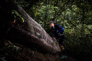 BIB: 
                            <button type="button" onclick="openModal(13525480)" class="btn btn-primary btn-sm float-right btn-popup" data-toggle="modal" data-target=".modal-high-quality">
                        <i class="fas fa-shopping-cart"></i> Add to Cart
                    </button>
                                            <button type="button" onclick="isThisMe(13525480, true)" class="btn btn-success btn-sm float-right btn-popup btn-isme hidden" data-toggle="tooltip" data-placement="bottom" title="นี่คือรูปของคุณใช่ไหม คลิกที่นี่เพื่อเอาเข้าอัลบั้ม">
                        <i class="fas fa-plus"></i> Add to album
                    </button>
                    <button type="button" onclick="isThisMe(13525480, false)" class="btn btn-warning btn-sm float-right btn-popup btn-isnotme hidden">
                        <i class="fas fa-ban"></i> Remove from album
                    </button>