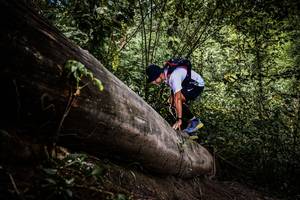 BIB: 
                            <button type="button" onclick="openModal(13523355)" class="btn btn-primary btn-sm float-right btn-popup" data-toggle="modal" data-target=".modal-high-quality">
                        <i class="fas fa-shopping-cart"></i> Add to Cart
                    </button>
                                            <button type="button" onclick="isThisMe(13523355, true)" class="btn btn-success btn-sm float-right btn-popup btn-isme hidden" data-toggle="tooltip" data-placement="bottom" title="นี่คือรูปของคุณใช่ไหม คลิกที่นี่เพื่อเอาเข้าอัลบั้ม">
                        <i class="fas fa-plus"></i> Add to album
                    </button>
                    <button type="button" onclick="isThisMe(13523355, false)" class="btn btn-warning btn-sm float-right btn-popup btn-isnotme hidden">
                        <i class="fas fa-ban"></i> Remove from album
                    </button>