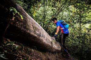 BIB: 
                            <button type="button" onclick="openModal(13525886)" class="btn btn-primary btn-sm float-right btn-popup" data-toggle="modal" data-target=".modal-high-quality">
                        <i class="fas fa-shopping-cart"></i> Add to Cart
                    </button>
                                            <button type="button" onclick="isThisMe(13525886, true)" class="btn btn-success btn-sm float-right btn-popup btn-isme hidden" data-toggle="tooltip" data-placement="bottom" title="นี่คือรูปของคุณใช่ไหม คลิกที่นี่เพื่อเอาเข้าอัลบั้ม">
                        <i class="fas fa-plus"></i> Add to album
                    </button>
                    <button type="button" onclick="isThisMe(13525886, false)" class="btn btn-warning btn-sm float-right btn-popup btn-isnotme hidden">
                        <i class="fas fa-ban"></i> Remove from album
                    </button>