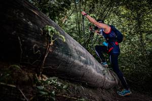 BIB: 
                            <button type="button" onclick="openModal(13522869)" class="btn btn-primary btn-sm float-right btn-popup" data-toggle="modal" data-target=".modal-high-quality">
                        <i class="fas fa-shopping-cart"></i> Add to Cart
                    </button>
                                            <button type="button" onclick="isThisMe(13522869, true)" class="btn btn-success btn-sm float-right btn-popup btn-isme hidden" data-toggle="tooltip" data-placement="bottom" title="นี่คือรูปของคุณใช่ไหม คลิกที่นี่เพื่อเอาเข้าอัลบั้ม">
                        <i class="fas fa-plus"></i> Add to album
                    </button>
                    <button type="button" onclick="isThisMe(13522869, false)" class="btn btn-warning btn-sm float-right btn-popup btn-isnotme hidden">
                        <i class="fas fa-ban"></i> Remove from album
                    </button>