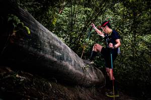 BIB: 
                            <button type="button" onclick="openModal(13525512)" class="btn btn-primary btn-sm float-right btn-popup" data-toggle="modal" data-target=".modal-high-quality">
                        <i class="fas fa-shopping-cart"></i> Add to Cart
                    </button>
                                            <button type="button" onclick="isThisMe(13525512, true)" class="btn btn-success btn-sm float-right btn-popup btn-isme hidden" data-toggle="tooltip" data-placement="bottom" title="นี่คือรูปของคุณใช่ไหม คลิกที่นี่เพื่อเอาเข้าอัลบั้ม">
                        <i class="fas fa-plus"></i> Add to album
                    </button>
                    <button type="button" onclick="isThisMe(13525512, false)" class="btn btn-warning btn-sm float-right btn-popup btn-isnotme hidden">
                        <i class="fas fa-ban"></i> Remove from album
                    </button>