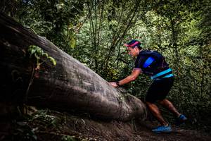 BIB: 
                            <button type="button" onclick="openModal(13523649)" class="btn btn-primary btn-sm float-right btn-popup" data-toggle="modal" data-target=".modal-high-quality">
                        <i class="fas fa-shopping-cart"></i> Add to Cart
                    </button>
                                            <button type="button" onclick="isThisMe(13523649, true)" class="btn btn-success btn-sm float-right btn-popup btn-isme hidden" data-toggle="tooltip" data-placement="bottom" title="นี่คือรูปของคุณใช่ไหม คลิกที่นี่เพื่อเอาเข้าอัลบั้ม">
                        <i class="fas fa-plus"></i> Add to album
                    </button>
                    <button type="button" onclick="isThisMe(13523649, false)" class="btn btn-warning btn-sm float-right btn-popup btn-isnotme hidden">
                        <i class="fas fa-ban"></i> Remove from album
                    </button>