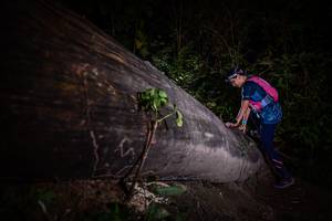 BIB: 
                            <button type="button" onclick="openModal(13517875)" class="btn btn-primary btn-sm float-right btn-popup" data-toggle="modal" data-target=".modal-high-quality">
                        <i class="fas fa-shopping-cart"></i> Add to Cart
                    </button>
                                            <button type="button" onclick="isThisMe(13517875, true)" class="btn btn-success btn-sm float-right btn-popup btn-isme hidden" data-toggle="tooltip" data-placement="bottom" title="นี่คือรูปของคุณใช่ไหม คลิกที่นี่เพื่อเอาเข้าอัลบั้ม">
                        <i class="fas fa-plus"></i> Add to album
                    </button>
                    <button type="button" onclick="isThisMe(13517875, false)" class="btn btn-warning btn-sm float-right btn-popup btn-isnotme hidden">
                        <i class="fas fa-ban"></i> Remove from album
                    </button>