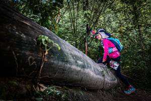 BIB: 
                            <button type="button" onclick="openModal(13520060)" class="btn btn-primary btn-sm float-right btn-popup" data-toggle="modal" data-target=".modal-high-quality">
                        <i class="fas fa-shopping-cart"></i> Add to Cart
                    </button>
                                            <button type="button" onclick="isThisMe(13520060, true)" class="btn btn-success btn-sm float-right btn-popup btn-isme hidden" data-toggle="tooltip" data-placement="bottom" title="นี่คือรูปของคุณใช่ไหม คลิกที่นี่เพื่อเอาเข้าอัลบั้ม">
                        <i class="fas fa-plus"></i> Add to album
                    </button>
                    <button type="button" onclick="isThisMe(13520060, false)" class="btn btn-warning btn-sm float-right btn-popup btn-isnotme hidden">
                        <i class="fas fa-ban"></i> Remove from album
                    </button>