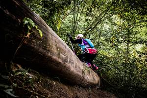 BIB: 
                            <button type="button" onclick="openModal(13525872)" class="btn btn-primary btn-sm float-right btn-popup" data-toggle="modal" data-target=".modal-high-quality">
                        <i class="fas fa-shopping-cart"></i> Add to Cart
                    </button>
                                            <button type="button" onclick="isThisMe(13525872, true)" class="btn btn-success btn-sm float-right btn-popup btn-isme hidden" data-toggle="tooltip" data-placement="bottom" title="นี่คือรูปของคุณใช่ไหม คลิกที่นี่เพื่อเอาเข้าอัลบั้ม">
                        <i class="fas fa-plus"></i> Add to album
                    </button>
                    <button type="button" onclick="isThisMe(13525872, false)" class="btn btn-warning btn-sm float-right btn-popup btn-isnotme hidden">
                        <i class="fas fa-ban"></i> Remove from album
                    </button>