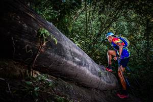 BIB: 
                            <button type="button" onclick="openModal(13519581)" class="btn btn-primary btn-sm float-right btn-popup" data-toggle="modal" data-target=".modal-high-quality">
                        <i class="fas fa-shopping-cart"></i> Add to Cart
                    </button>
                                            <button type="button" onclick="isThisMe(13519581, true)" class="btn btn-success btn-sm float-right btn-popup btn-isme hidden" data-toggle="tooltip" data-placement="bottom" title="นี่คือรูปของคุณใช่ไหม คลิกที่นี่เพื่อเอาเข้าอัลบั้ม">
                        <i class="fas fa-plus"></i> Add to album
                    </button>
                    <button type="button" onclick="isThisMe(13519581, false)" class="btn btn-warning btn-sm float-right btn-popup btn-isnotme hidden">
                        <i class="fas fa-ban"></i> Remove from album
                    </button>