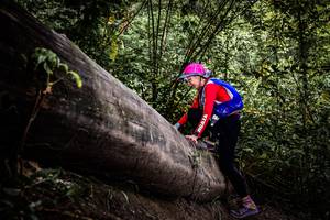 BIB: 
                            <button type="button" onclick="openModal(13523551)" class="btn btn-primary btn-sm float-right btn-popup" data-toggle="modal" data-target=".modal-high-quality">
                        <i class="fas fa-shopping-cart"></i> Add to Cart
                    </button>
                                            <button type="button" onclick="isThisMe(13523551, true)" class="btn btn-success btn-sm float-right btn-popup btn-isme hidden" data-toggle="tooltip" data-placement="bottom" title="นี่คือรูปของคุณใช่ไหม คลิกที่นี่เพื่อเอาเข้าอัลบั้ม">
                        <i class="fas fa-plus"></i> Add to album
                    </button>
                    <button type="button" onclick="isThisMe(13523551, false)" class="btn btn-warning btn-sm float-right btn-popup btn-isnotme hidden">
                        <i class="fas fa-ban"></i> Remove from album
                    </button>