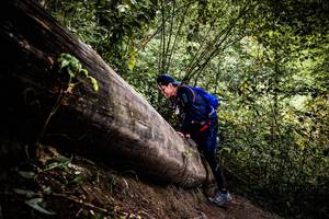 BIB: 
                            <button type="button" onclick="openModal(13525857)" class="btn btn-primary btn-sm float-right btn-popup" data-toggle="modal" data-target=".modal-high-quality">
                        <i class="fas fa-shopping-cart"></i> Add to Cart
                    </button>
                                            <button type="button" onclick="isThisMe(13525857, true)" class="btn btn-success btn-sm float-right btn-popup btn-isme hidden" data-toggle="tooltip" data-placement="bottom" title="นี่คือรูปของคุณใช่ไหม คลิกที่นี่เพื่อเอาเข้าอัลบั้ม">
                        <i class="fas fa-plus"></i> Add to album
                    </button>
                    <button type="button" onclick="isThisMe(13525857, false)" class="btn btn-warning btn-sm float-right btn-popup btn-isnotme hidden">
                        <i class="fas fa-ban"></i> Remove from album
                    </button>