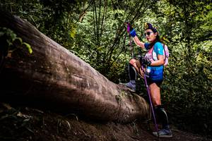 BIB: 
                            <button type="button" onclick="openModal(13525734)" class="btn btn-primary btn-sm float-right btn-popup" data-toggle="modal" data-target=".modal-high-quality">
                        <i class="fas fa-shopping-cart"></i> Add to Cart
                    </button>
                                            <button type="button" onclick="isThisMe(13525734, true)" class="btn btn-success btn-sm float-right btn-popup btn-isme hidden" data-toggle="tooltip" data-placement="bottom" title="นี่คือรูปของคุณใช่ไหม คลิกที่นี่เพื่อเอาเข้าอัลบั้ม">
                        <i class="fas fa-plus"></i> Add to album
                    </button>
                    <button type="button" onclick="isThisMe(13525734, false)" class="btn btn-warning btn-sm float-right btn-popup btn-isnotme hidden">
                        <i class="fas fa-ban"></i> Remove from album
                    </button>