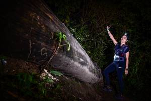 BIB: 
                            <button type="button" onclick="openModal(13518788)" class="btn btn-primary btn-sm float-right btn-popup" data-toggle="modal" data-target=".modal-high-quality">
                        <i class="fas fa-shopping-cart"></i> Add to Cart
                    </button>
                                            <button type="button" onclick="isThisMe(13518788, true)" class="btn btn-success btn-sm float-right btn-popup btn-isme hidden" data-toggle="tooltip" data-placement="bottom" title="นี่คือรูปของคุณใช่ไหม คลิกที่นี่เพื่อเอาเข้าอัลบั้ม">
                        <i class="fas fa-plus"></i> Add to album
                    </button>
                    <button type="button" onclick="isThisMe(13518788, false)" class="btn btn-warning btn-sm float-right btn-popup btn-isnotme hidden">
                        <i class="fas fa-ban"></i> Remove from album
                    </button>