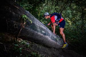 BIB: 
                            <button type="button" onclick="openModal(13519575)" class="btn btn-primary btn-sm float-right btn-popup" data-toggle="modal" data-target=".modal-high-quality">
                        <i class="fas fa-shopping-cart"></i> Add to Cart
                    </button>
                                            <button type="button" onclick="isThisMe(13519575, true)" class="btn btn-success btn-sm float-right btn-popup btn-isme hidden" data-toggle="tooltip" data-placement="bottom" title="นี่คือรูปของคุณใช่ไหม คลิกที่นี่เพื่อเอาเข้าอัลบั้ม">
                        <i class="fas fa-plus"></i> Add to album
                    </button>
                    <button type="button" onclick="isThisMe(13519575, false)" class="btn btn-warning btn-sm float-right btn-popup btn-isnotme hidden">
                        <i class="fas fa-ban"></i> Remove from album
                    </button>